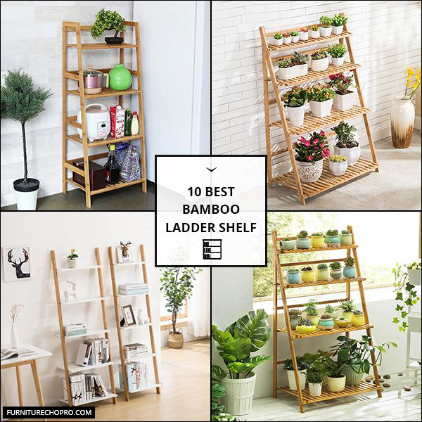 Bamboo Ladder Shelf