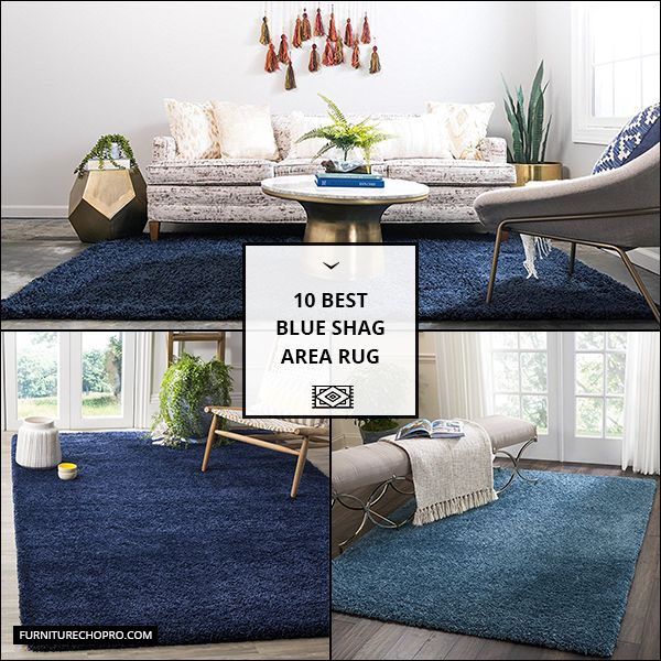 Blue Shag Area Rug