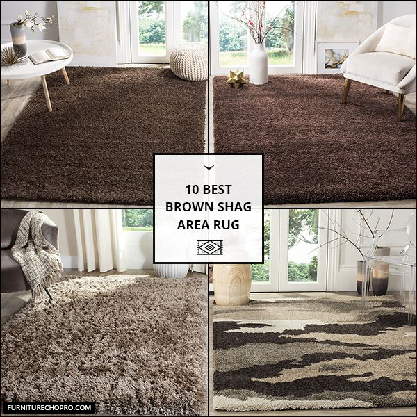 Brown Shag Area Rug