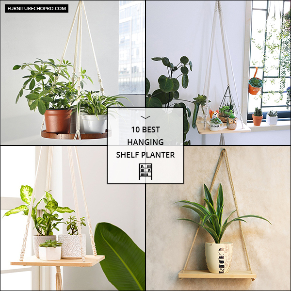 Hanging Shelf Planter