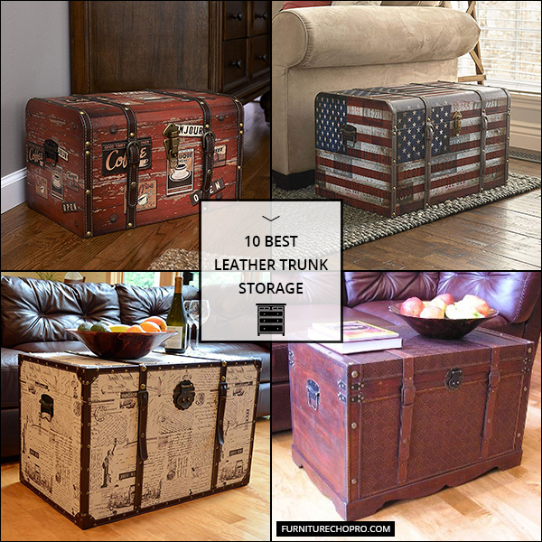 Leather Trunk Storage