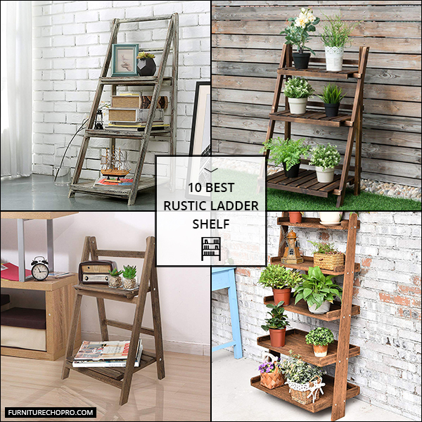 Rustic Ladder Shelf