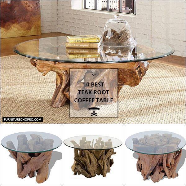 Teak Root Coffee Table